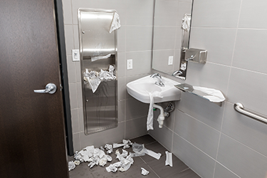 Paper Towels in Bathroom